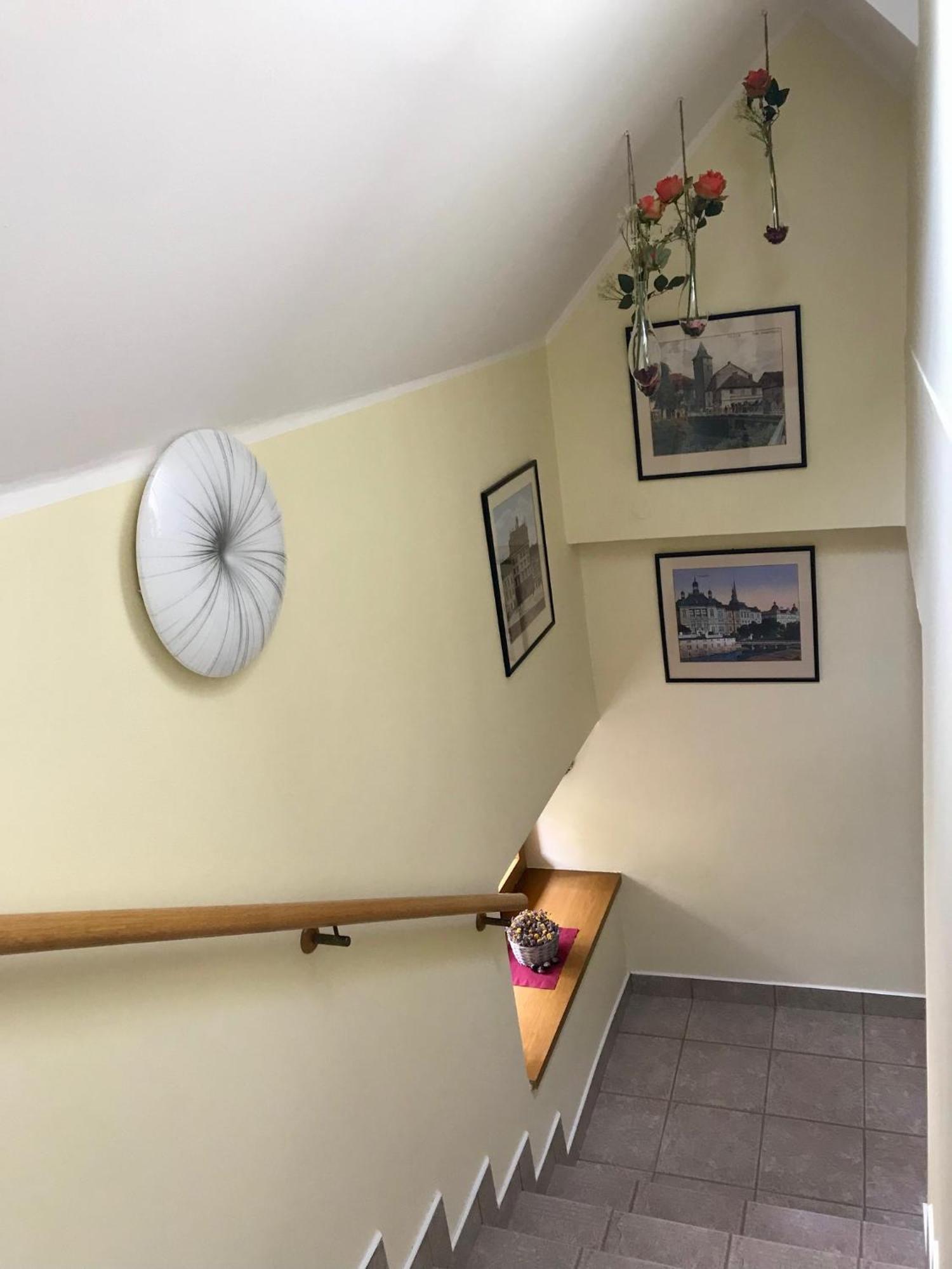 Golden Wood Apartments Plzeň Extérieur photo